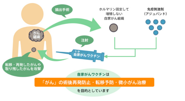 自家がんワクチン